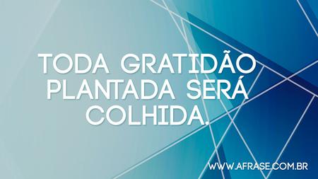 Toda gratidão plantada será colhida.