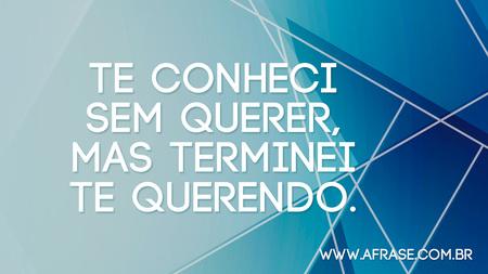Te conheci sem querer, mas terminei te querendo.
