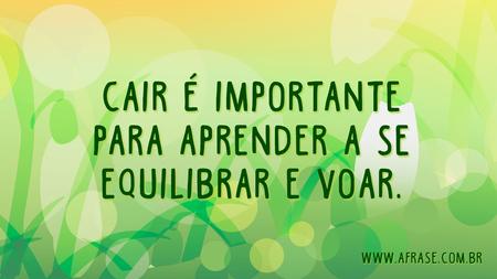 Cair é importante para aprender a se equilibrar e voar.