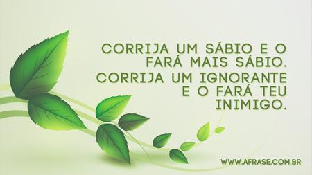 Corrija um sábio e o fará mais sábio.
Corrija um ignorante e o fará teu inimigo.