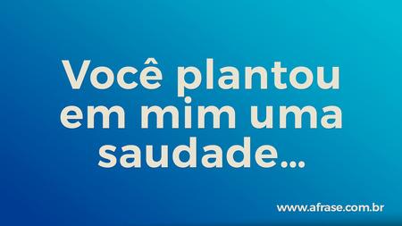 Você plantou em mim uma saudade…