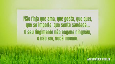 Não finja que ama, que gosta, que quer, que se importa, que sente saudade…
O seu fingimento não engana ninguém, a não ser, você mesmo.