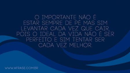 O importante não é estar sempre de pé mas sim levantar cada vez que cair, pois o ideal da vida não é ser perfeito e sim tentar ser cada vez melhor.