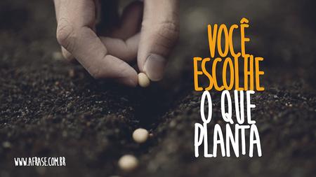 Você escolhe o que planta.