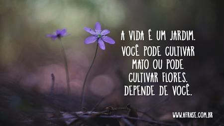 A vida é um jardim.
Você pode cultivar mato ou pode cultivar flores.
Depende de você.