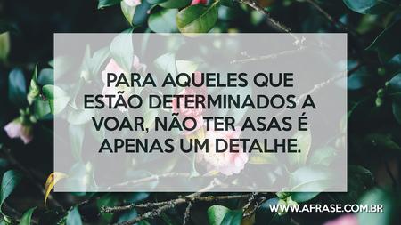 Para aqueles que estão determinados a voar, não ter asas é apenas um detalhe.
