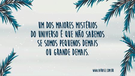 Um dos maiores mistérios do universo é que não sabemos se somos pequenos demais ou grande demais.