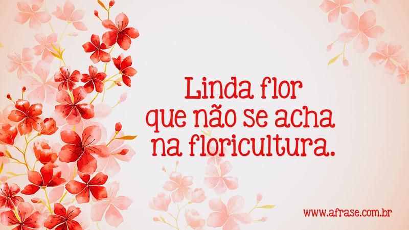 Linda flor que não se acha na floricultura. - Frases de Amor