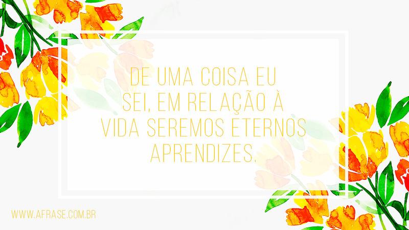 De uma coisa eu sei, em relação à vida seremos eternos aprendizes. - Frases de Vida