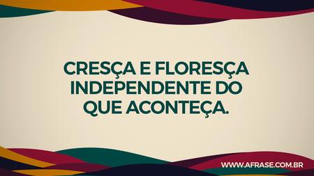 Cresça e floresça independente do que aconteça.