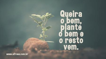 Queira o bem, plante o bem e o resto vem.