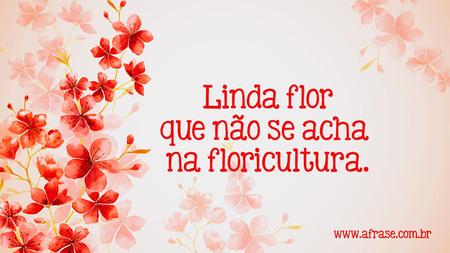 Linda flor que não se acha na floricultura.