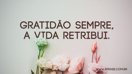 Gratidão sempre, a vida retribui.