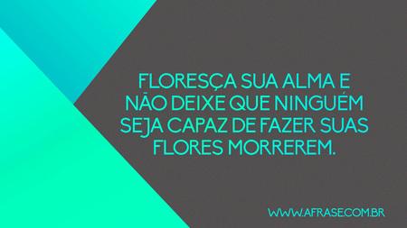 Floresça sua alma e não deixe que ninguém seja capaz de fazer suas flores morrerem.