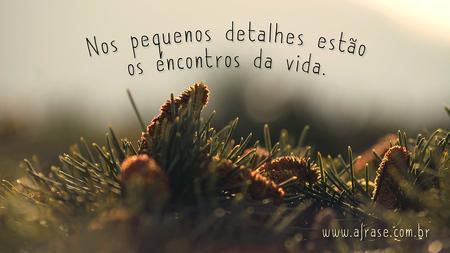 Nos pequenos detalhes estão os encontros da vida.