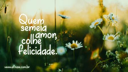 Quem semeia amor, colhe felicidade.