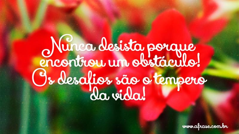 Nunca desista porque encontrou um obstáculo! Os desafios são o tempero da vida! - Frases de Atitude