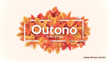 Outono
Bem Vindo
As folhas secas no chão castanho, a paz no ar.
Eu adoro o outono!