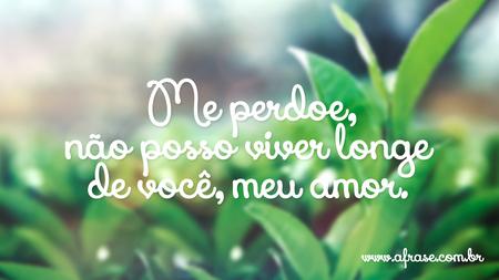 Me perdoe, não posso viver longe de você, meu amor.