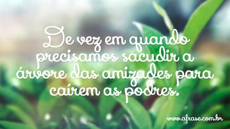 De vez em quando precisamos sacudir a árvore das amizades para caírem as podres.