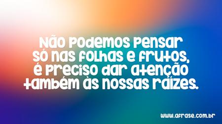 Não podemos pensar só nas folhas e frutos, é preciso dar atenção também às nossas raízes.