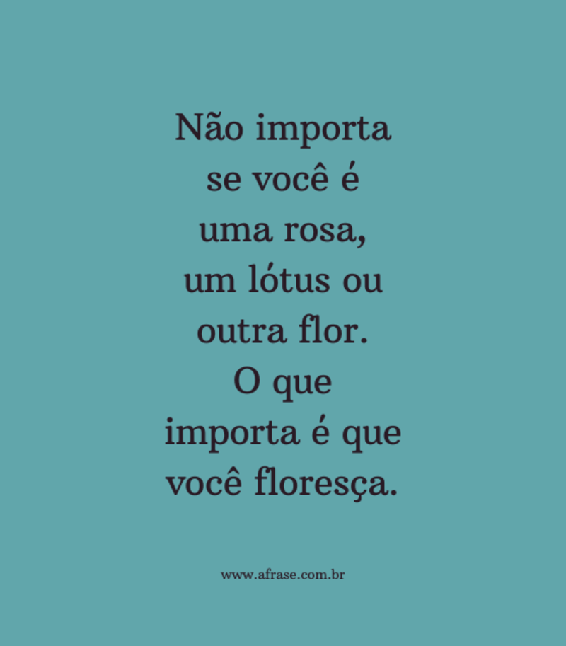 Não importa se você é uma rosa, um lótus ou outra flor. O que importa é que você floresça. - Frases de Reflexão