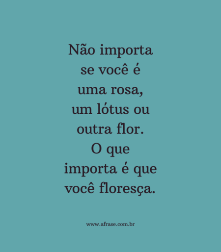 Não importa se você é uma rosa, um lótus ou outra flor.
O que importa é que você floresça.