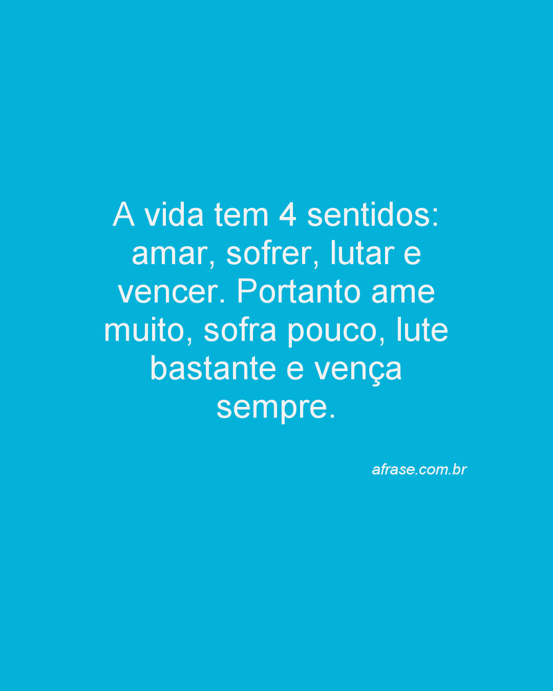 A vida tem 4 sentidos: amar, sofrer, lutar e vencer. Portanto ame muito, sofra pouco, lute bastante e vença sempre.