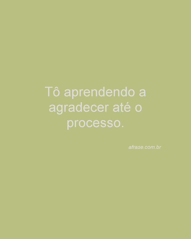 Tô aprendendo a agradecer até o processo.