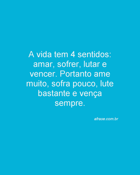A vida tem 4 sentidos: amar, sofrer, lutar e vencer. Portanto ame muito, sofra pouco, lute bastante e vença sempre.