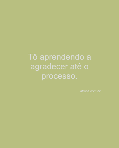 Tô aprendendo a agradecer até o processo.