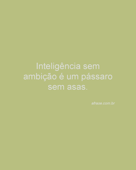 Inteligência sem ambição é um pássaro sem asas.